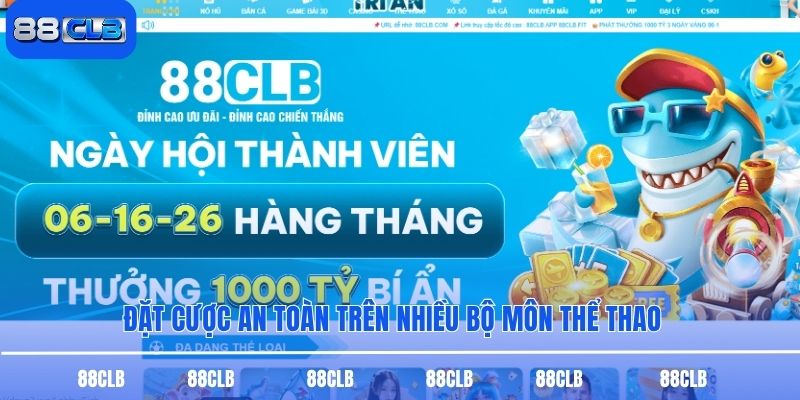 Đặt cược an toàn trên nhiều bộ môn thể thao