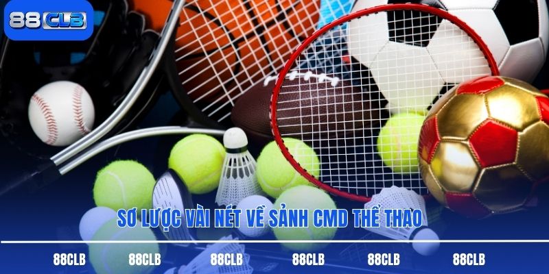 Sơ lược vài nét về sảnh CMD thể thao