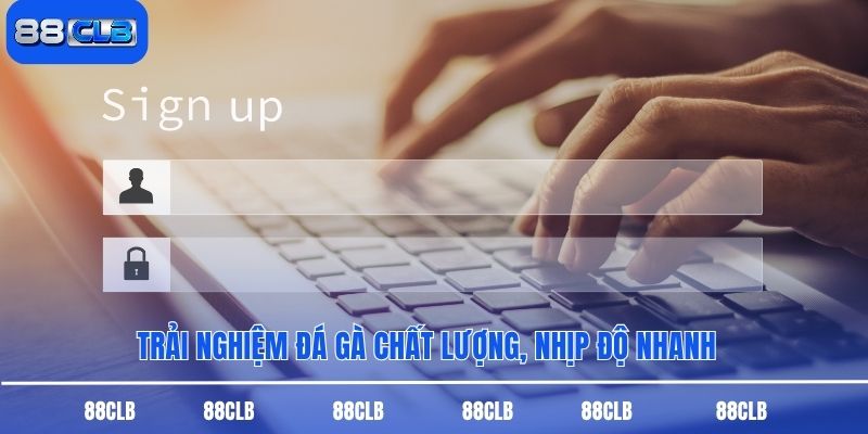 Trải nghiệm đá gà chất lượng, nhịp độ nhanh