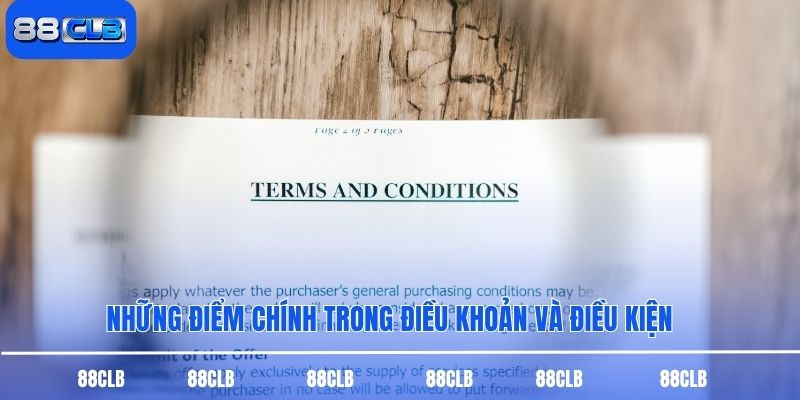 Những điểm chính trong điều khoản và điều kiện