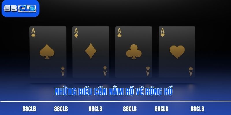 Những điều cần nắm rõ về rồng hổ